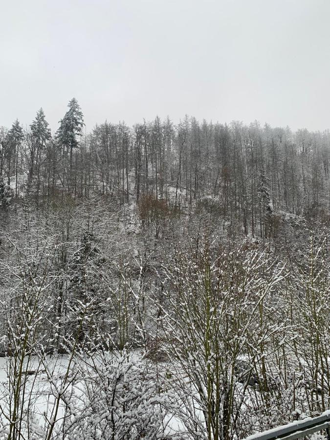 Ferienhaus Andrea Am Bodetal Treseburg Екстериор снимка