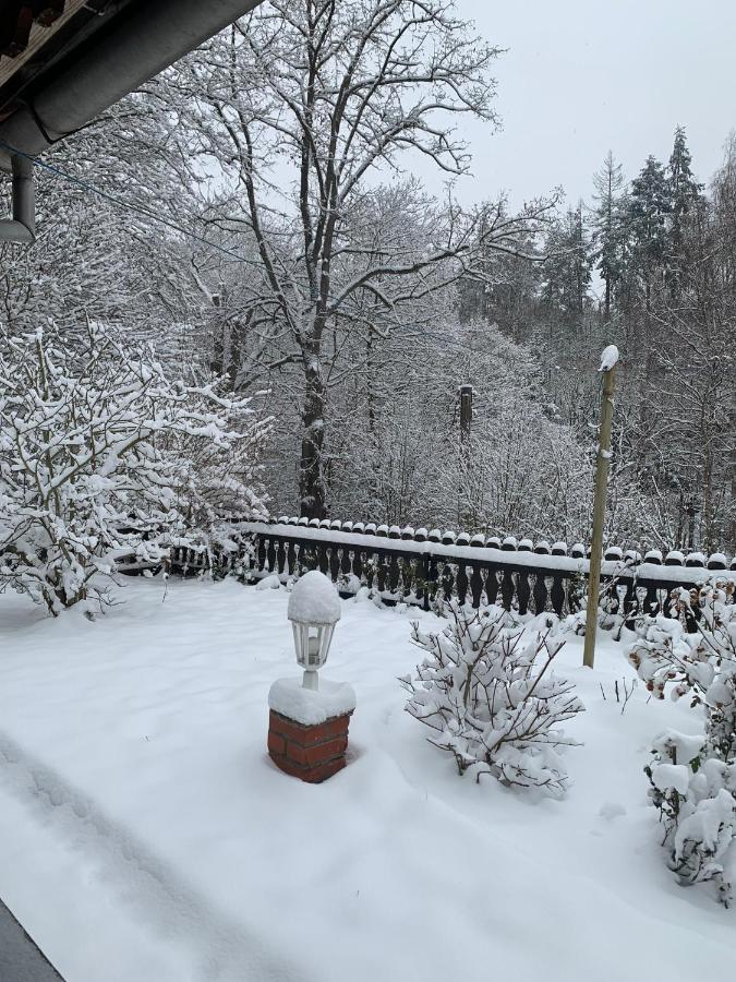 Ferienhaus Andrea Am Bodetal Treseburg Екстериор снимка