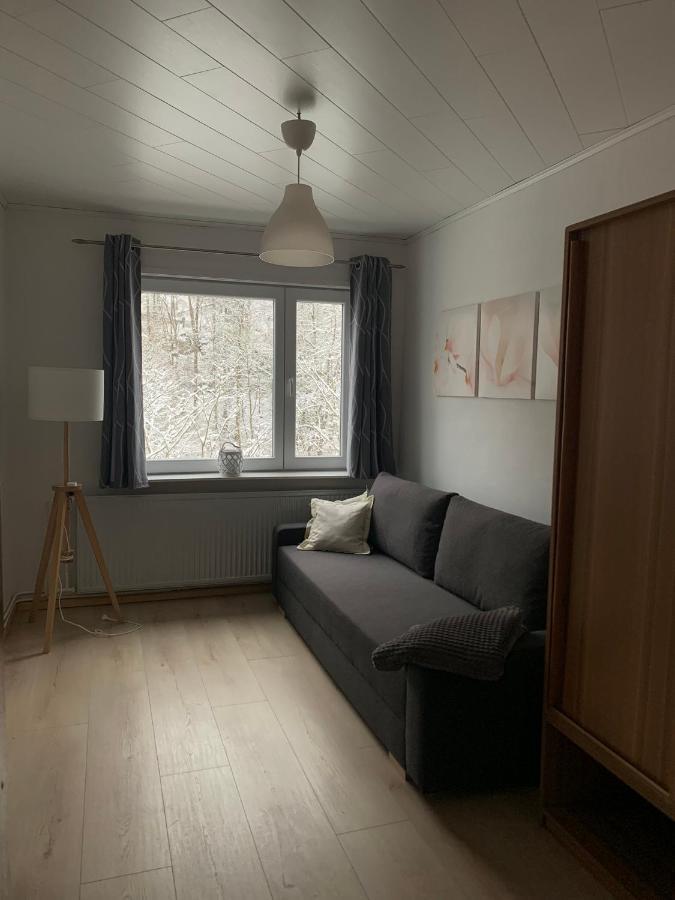 Ferienhaus Andrea Am Bodetal Treseburg Екстериор снимка